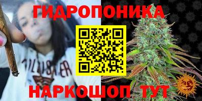 молекула духа Кулебаки