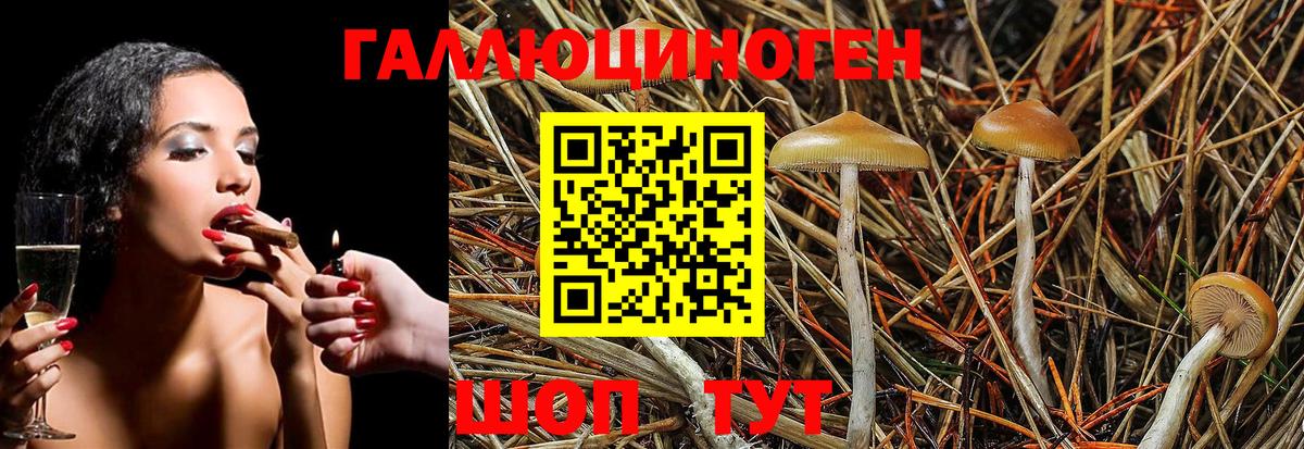 Галлюциногенные грибы мухоморы Махачкала