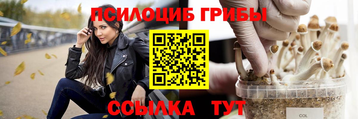 Махачкала  Галлюциногенные грибы мухоморы  Вход с VPN 